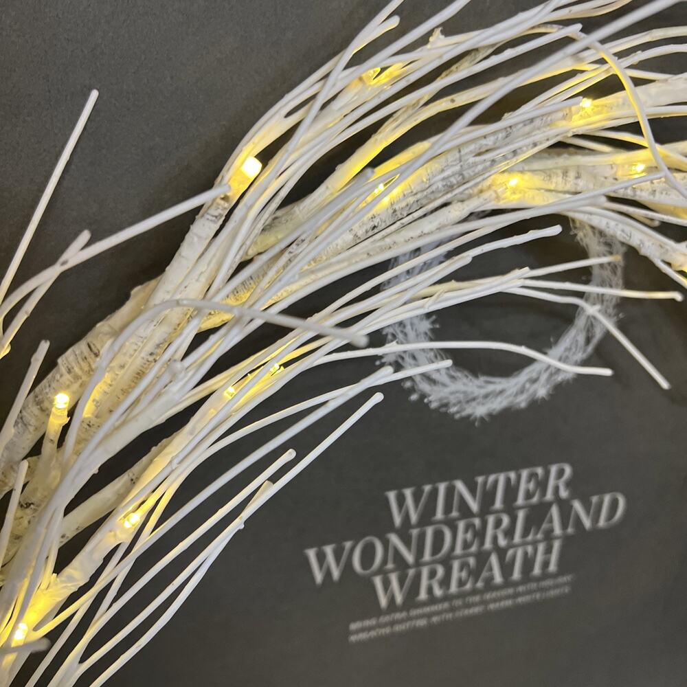 Restoration Hardware Winter Wonderland 24” Warm White Starry Lighted Wreath Box - Picture 5 of 16